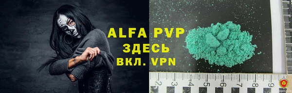 прущие грибы Вязьма