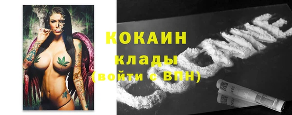 эйфоретик Вяземский