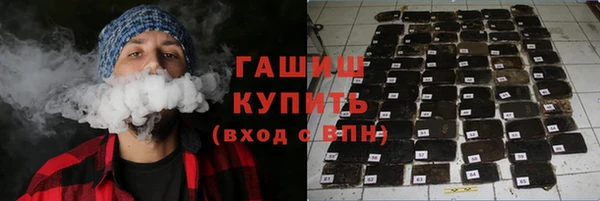 прущие грибы Вязьма