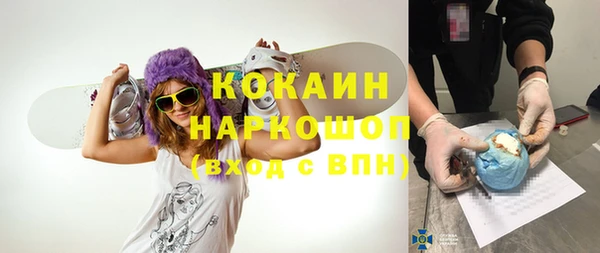 прущие грибы Вязьма