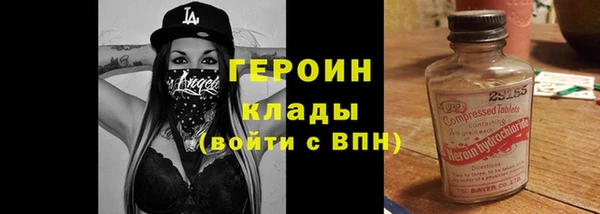 прущие грибы Вязьма