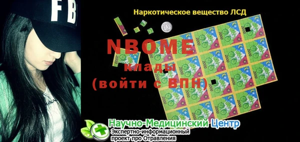 прущие грибы Вязьма