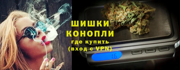 прущие грибы Вязьма