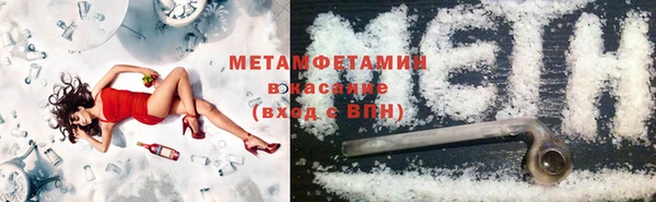 прущие грибы Вязьма