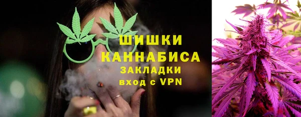 эйфоретик Вяземский