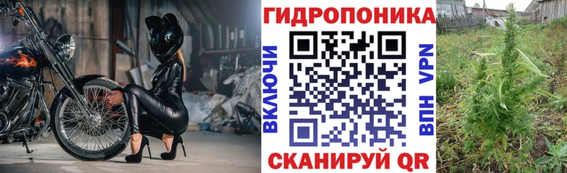 Шишки марихуана Amnesia  Гусев 